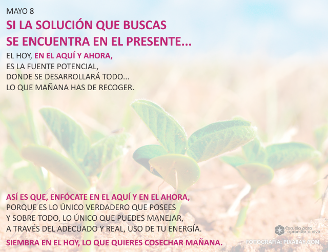 Si la solución que buscas se encuentra en el presente...